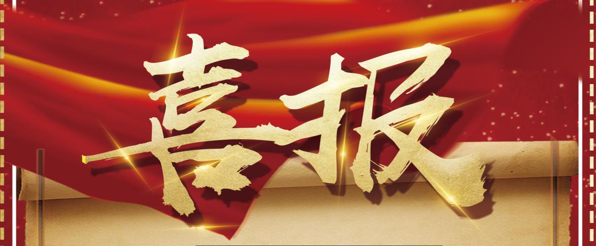2024年百度蜘蛛强引